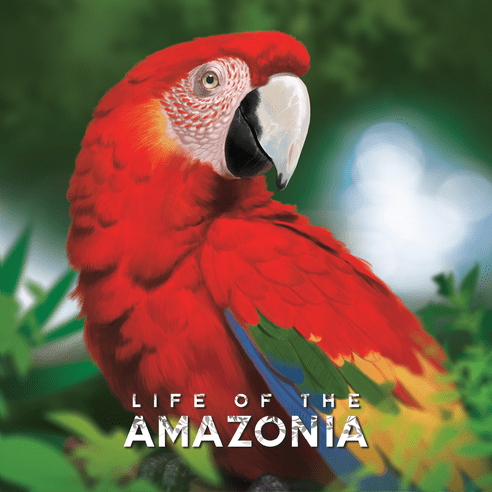 Life of the Amazonia Board Game, English Edition